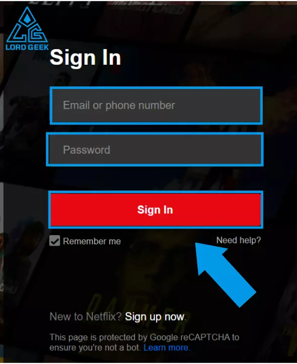 Enter your Netflix credentials to sign into Netflix account